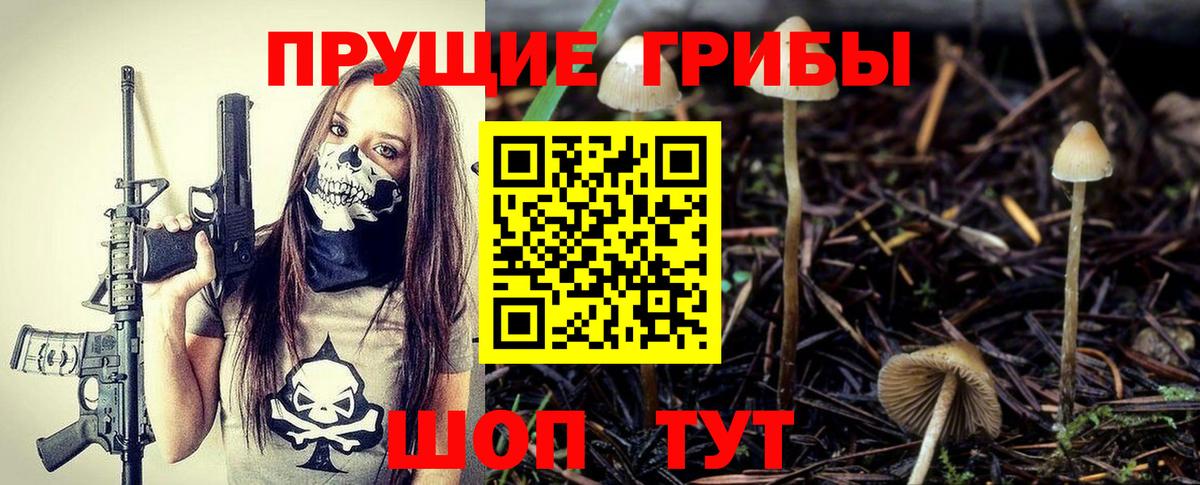 Псилоцибиновые грибы мицелий  Псилоцибиновые грибы прущие грибы  Вход с VPN  Миллерово 