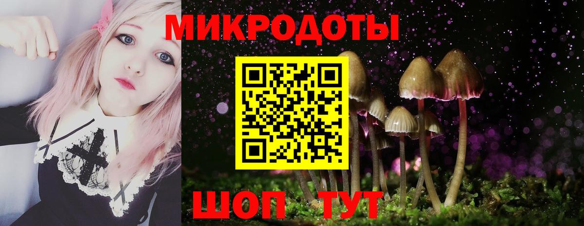 Псилоцибиновые грибы Psilocybine cubensis Миллерово